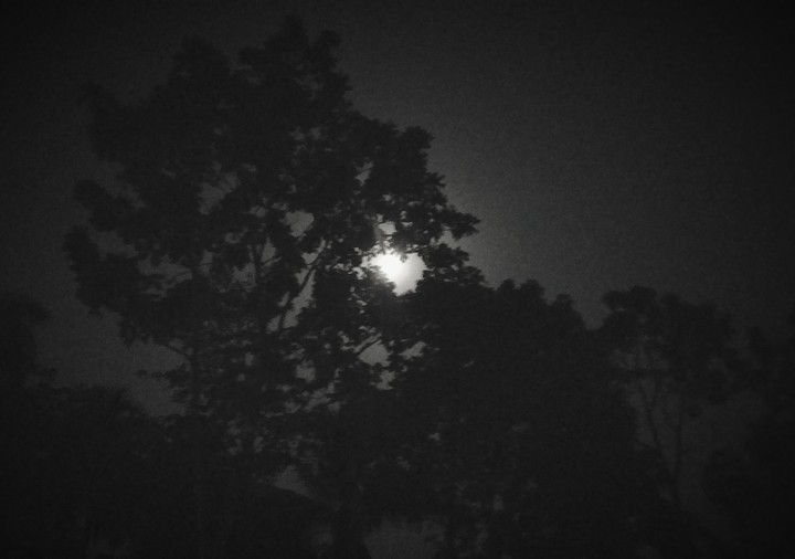 Full moon Day