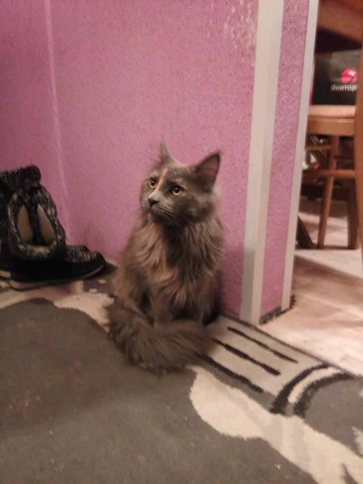 бедная Баги