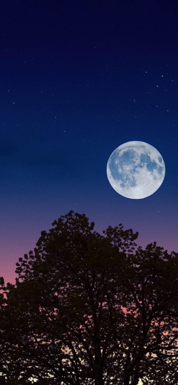 Good Night