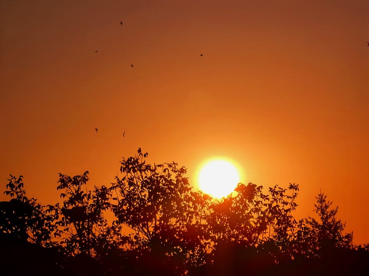 Sunset