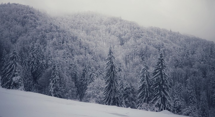 winter landscape in the mountains