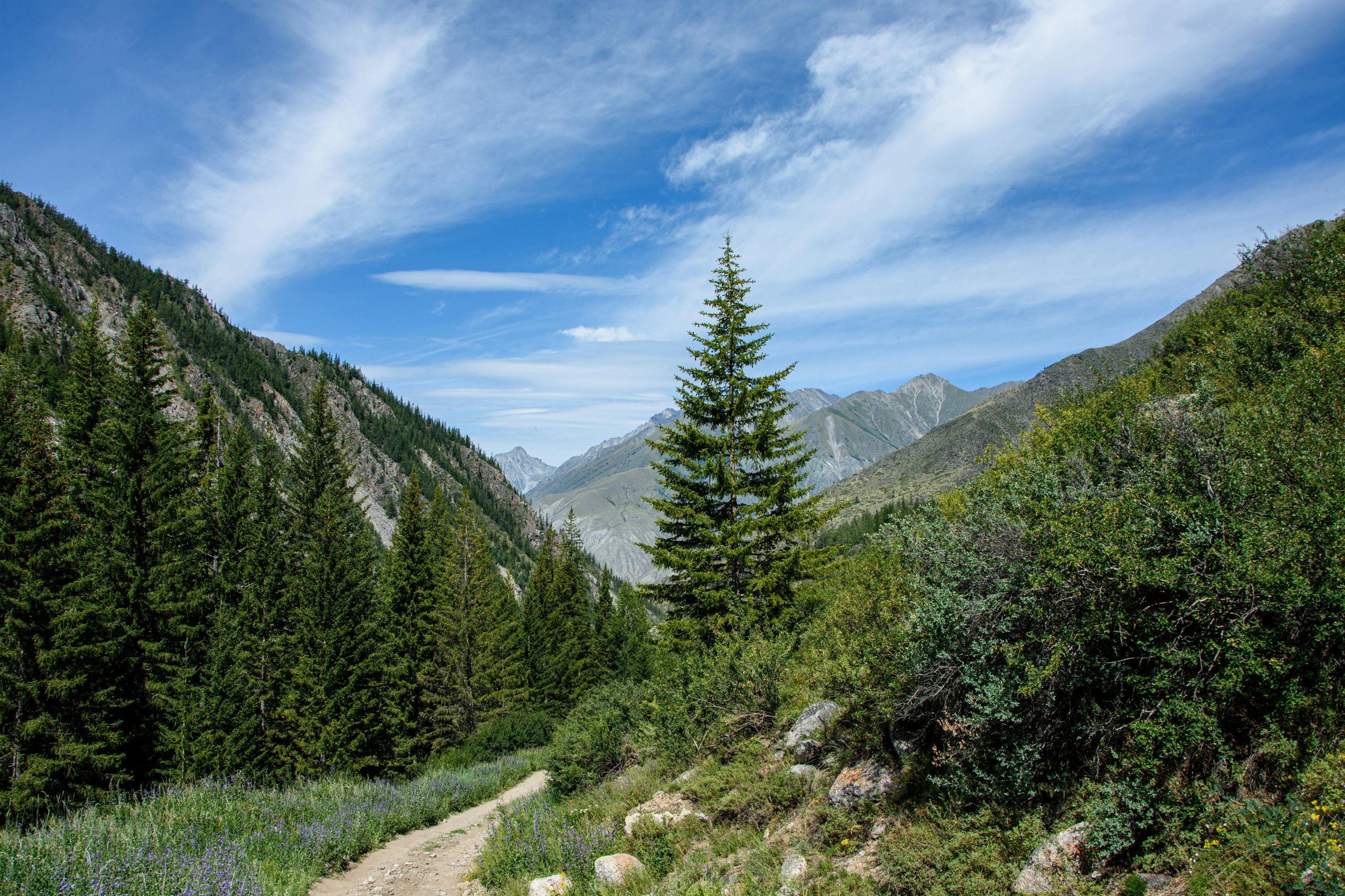 sfondi Wilderness, cloud