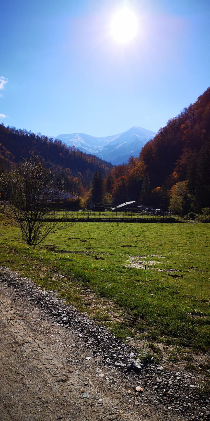autumn#
