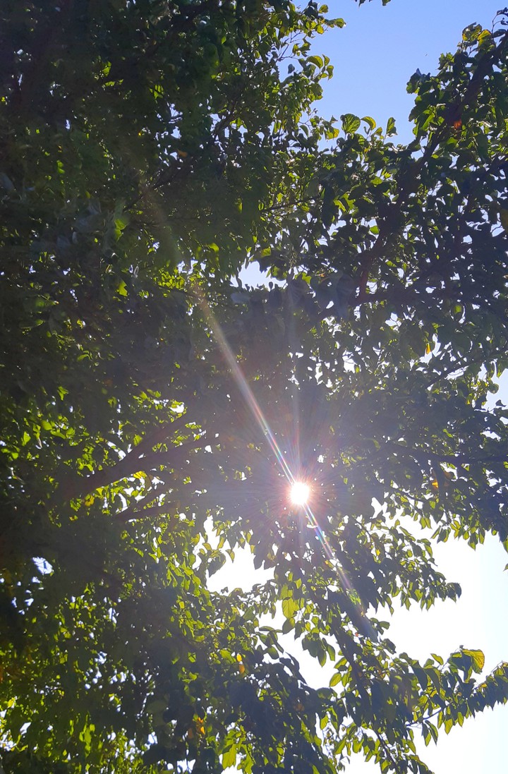 The last warm sun