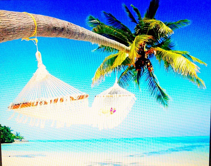 Verano