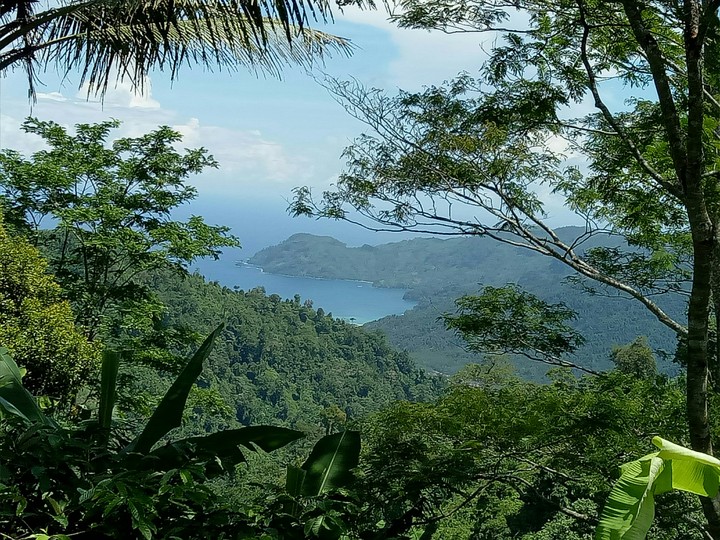 pantai lenggoksono