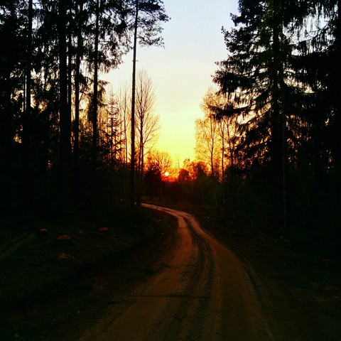 fondos de pantalla wilderness, evening