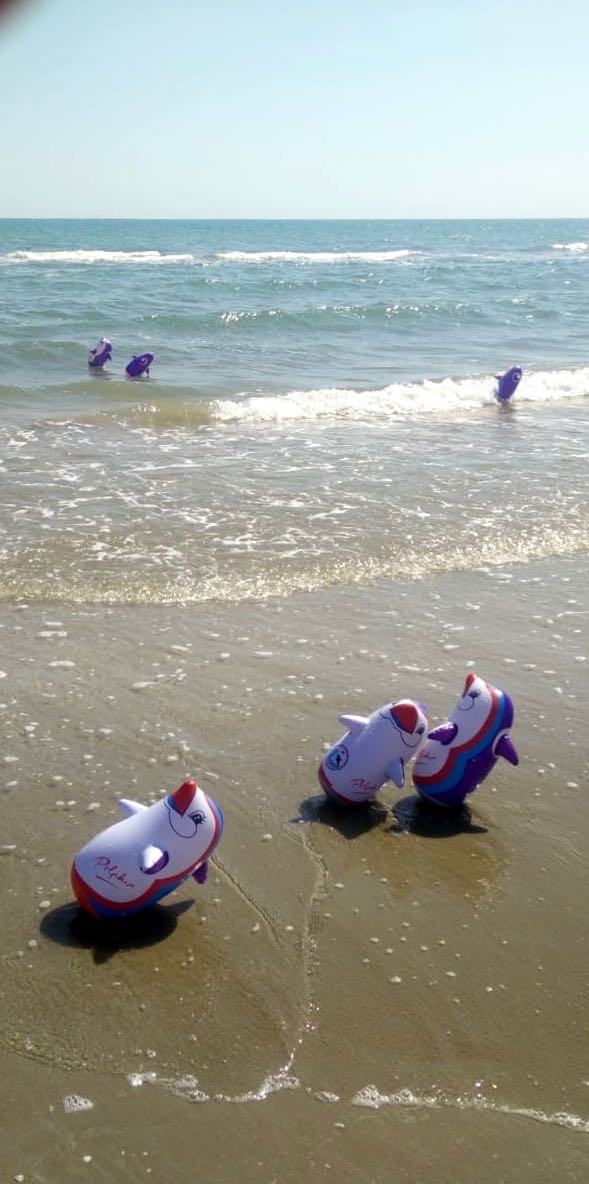 Dolphins..