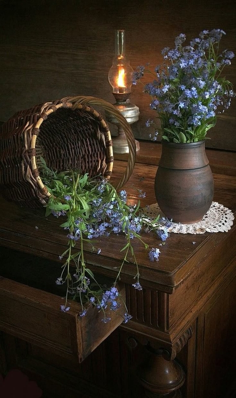 ❤️❤️pedia pedia❤️❤️