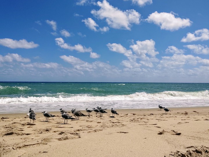Delray Beach