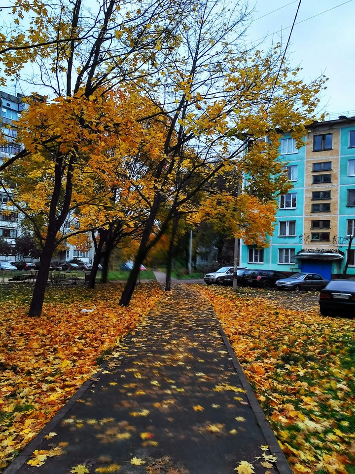 осень