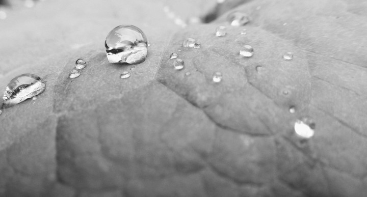 rain