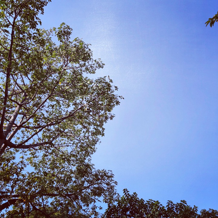 Beautiful Day!