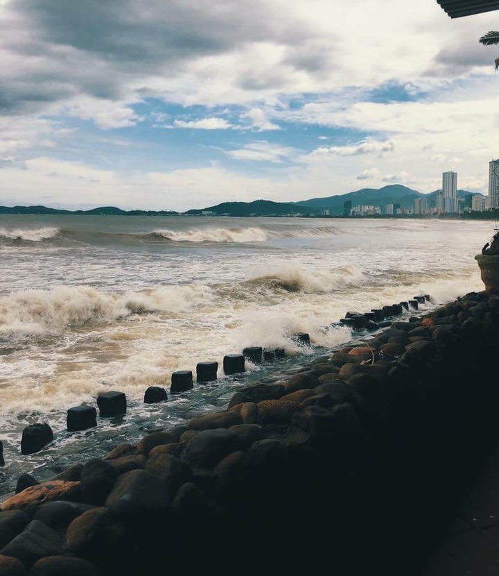the shore