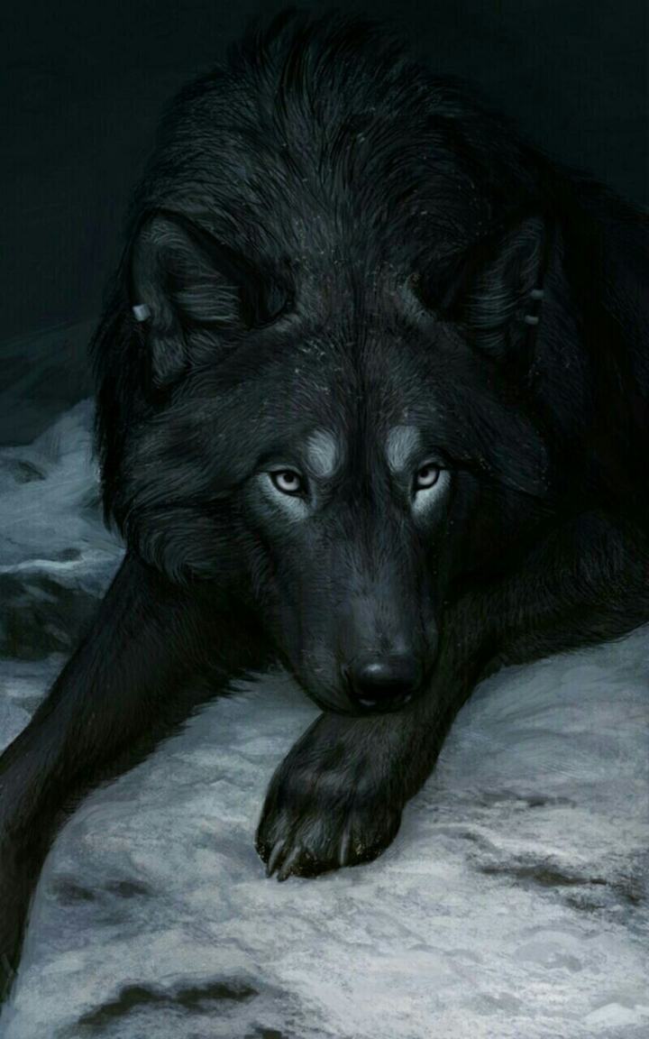 The Dark Shadow Wolf