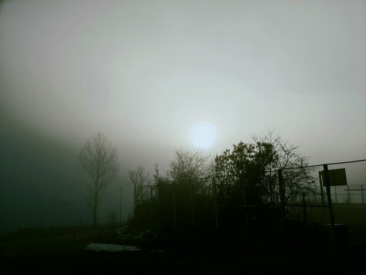 morning