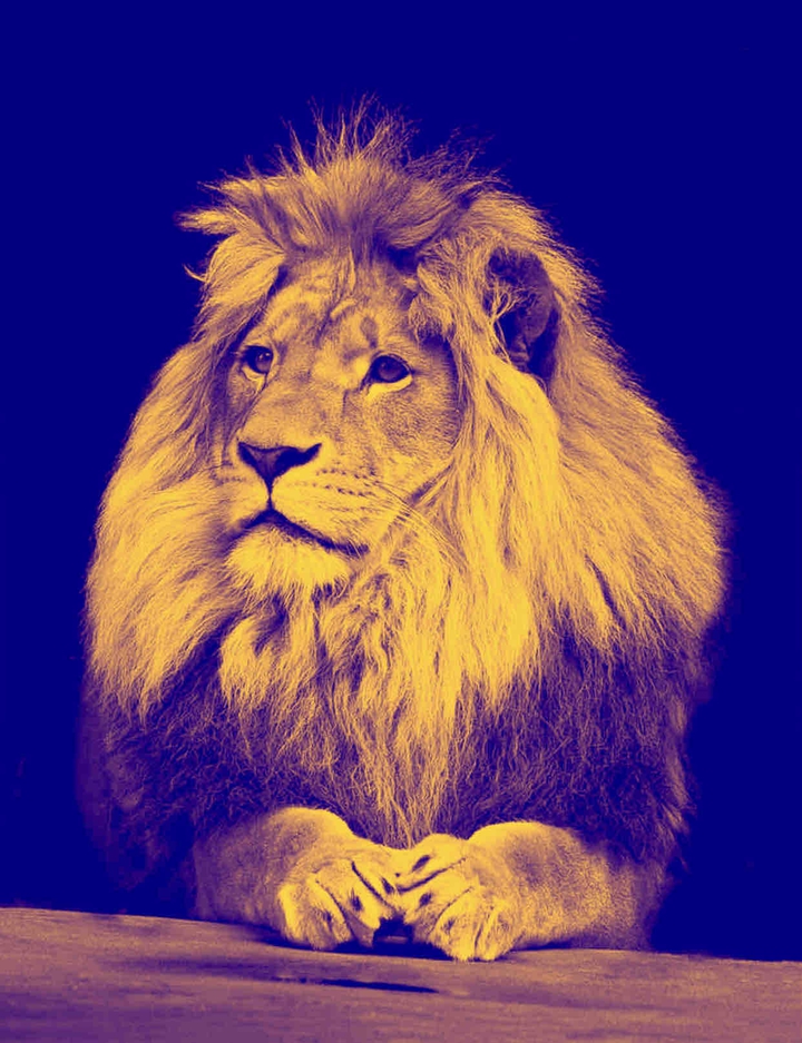 LiON HDR