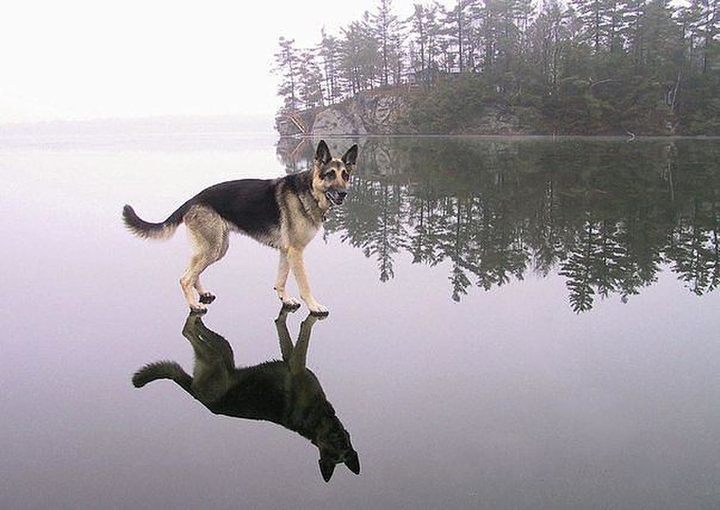 байкал