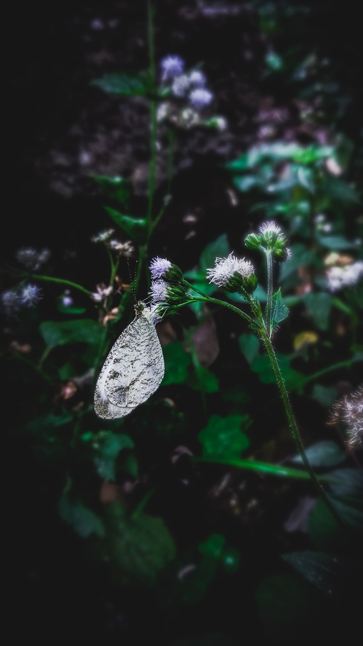 Searching for