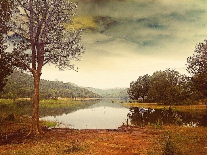 Painting/Picture.?