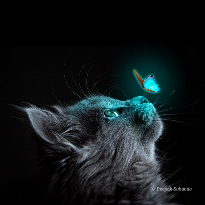 light glow
