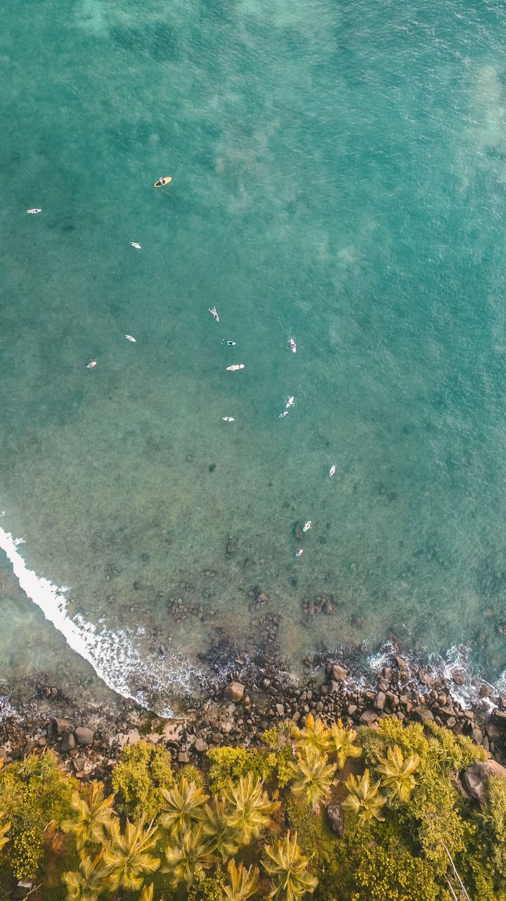 sea