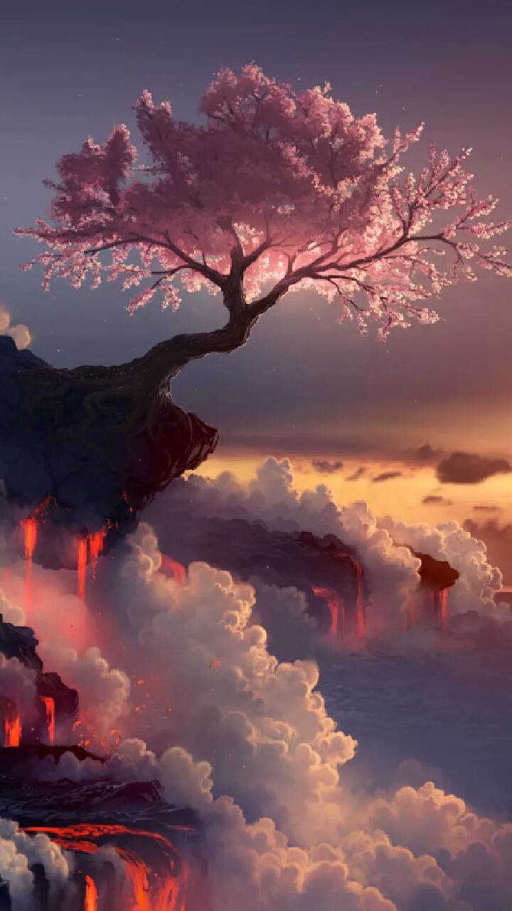 Blossoms