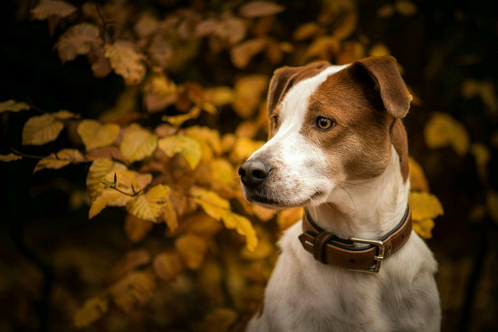 canonphotography