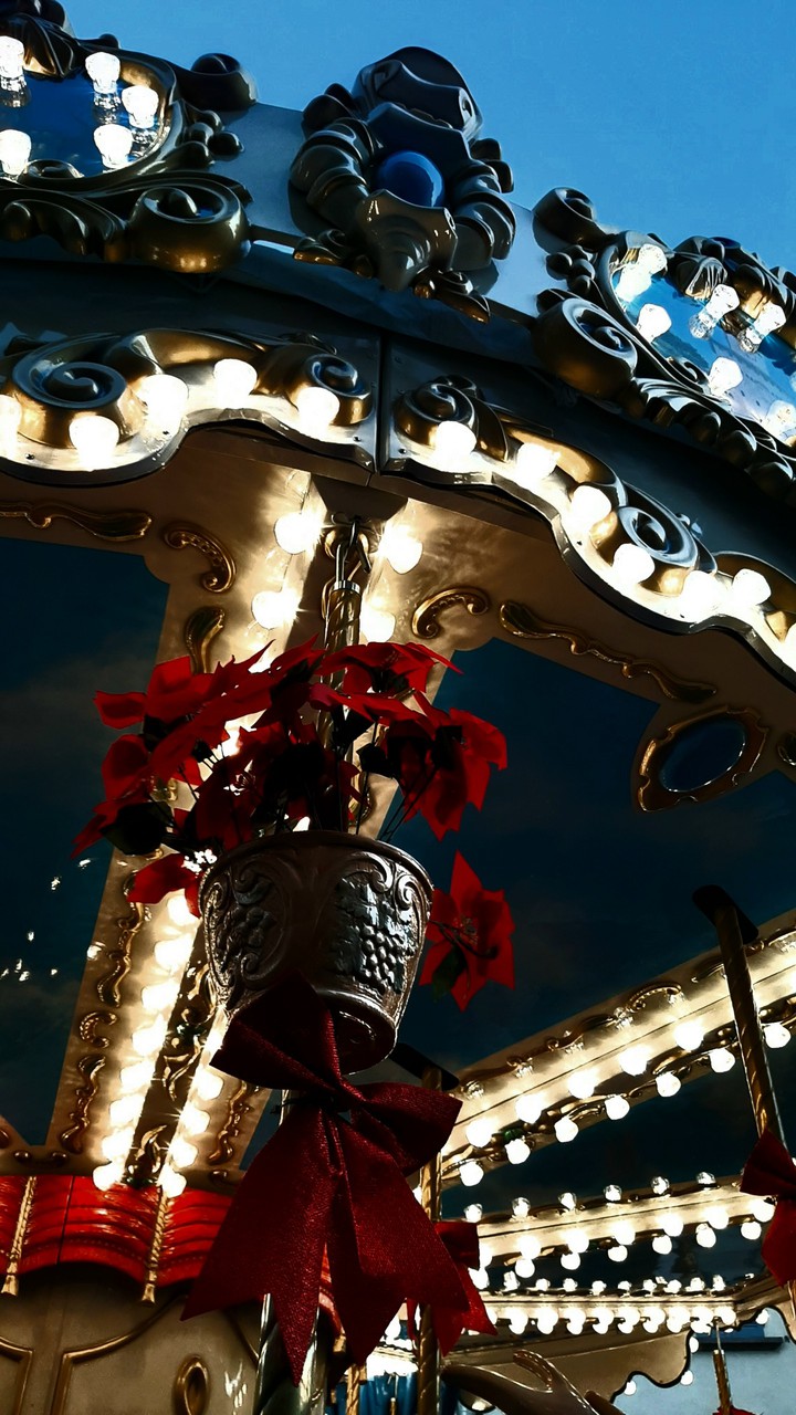 Bergamo Carousel