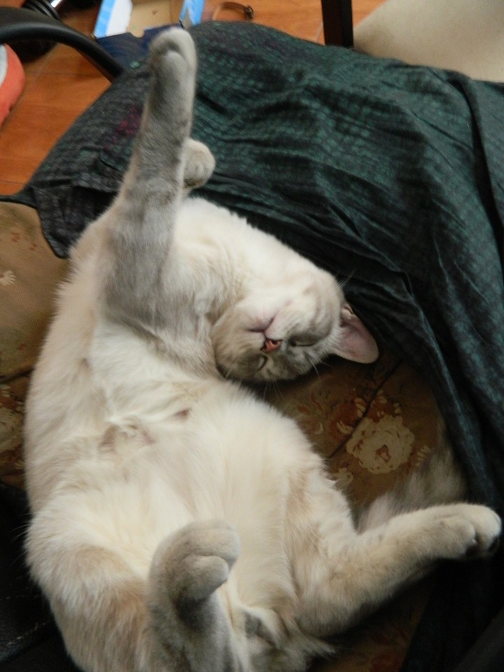 acrobacias