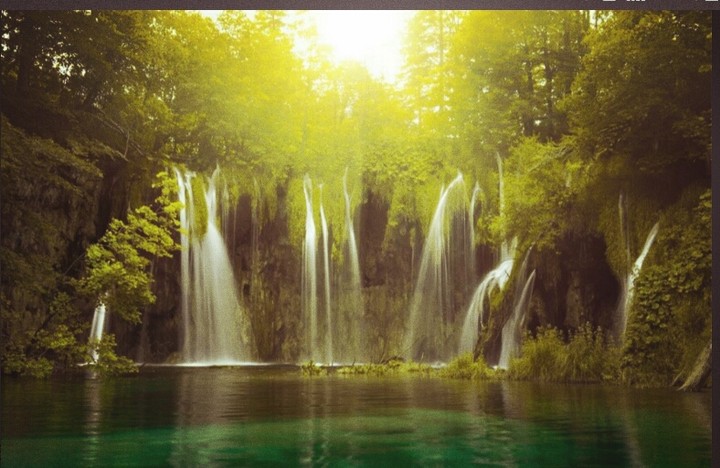 this make you feel like you are sitting in amazon forest