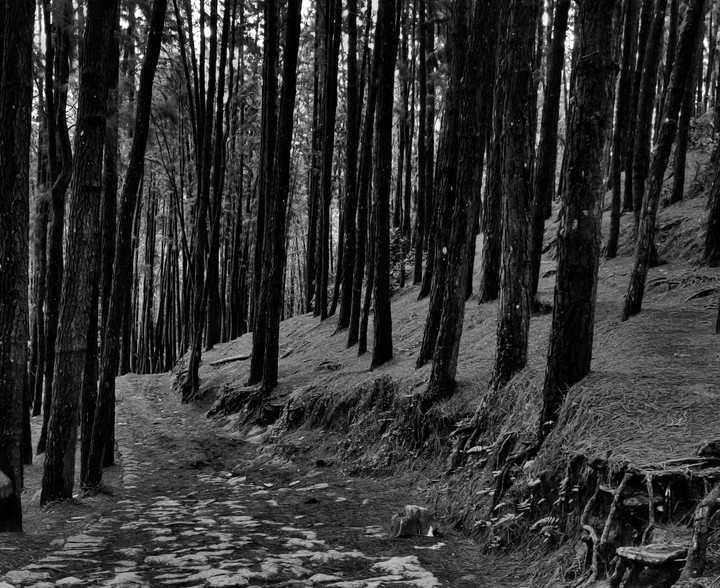 The Road not taken.