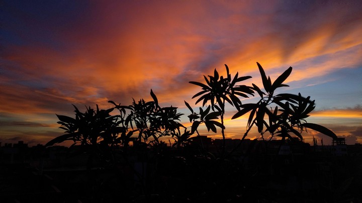 sunset