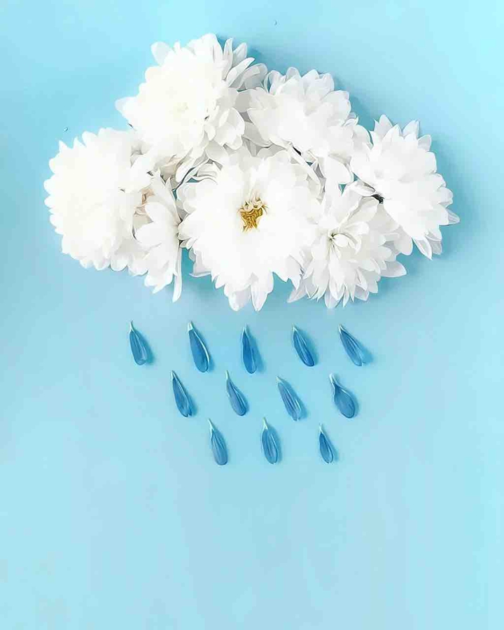 Flower cloud and rain