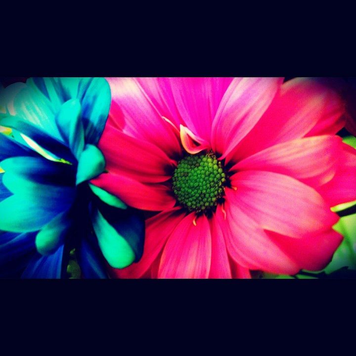 Colors.