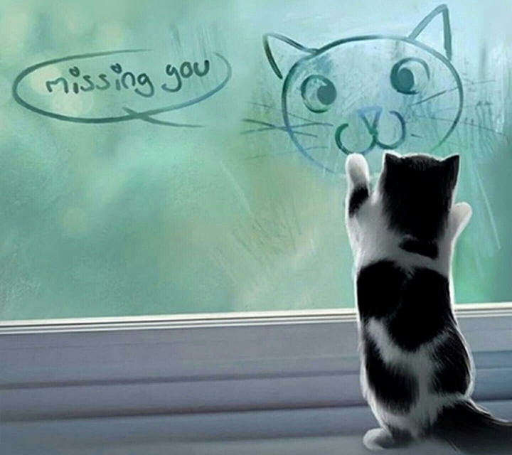 kitty miss you