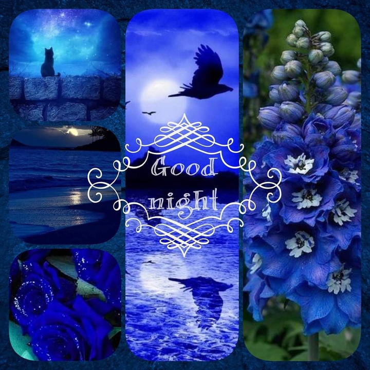 good night