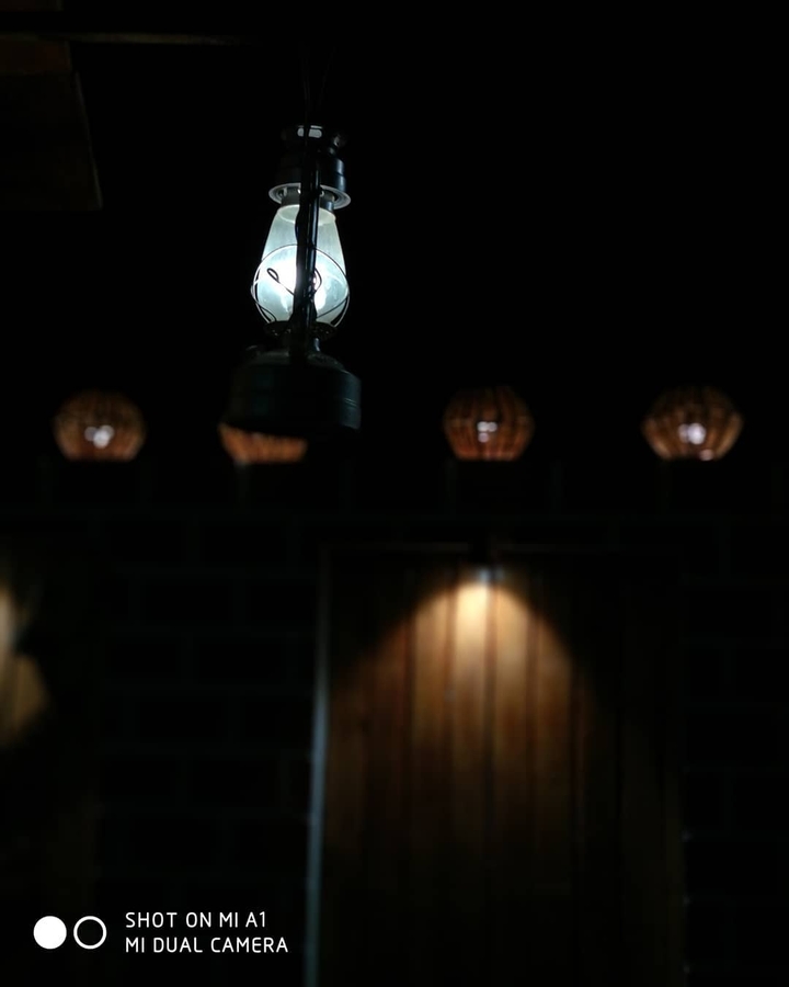 bulb