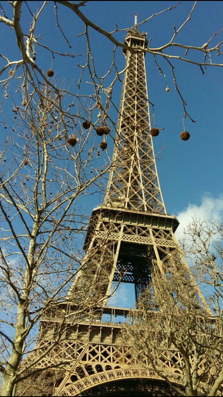 Eiffel tower