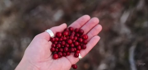A HAND OF FRUIT