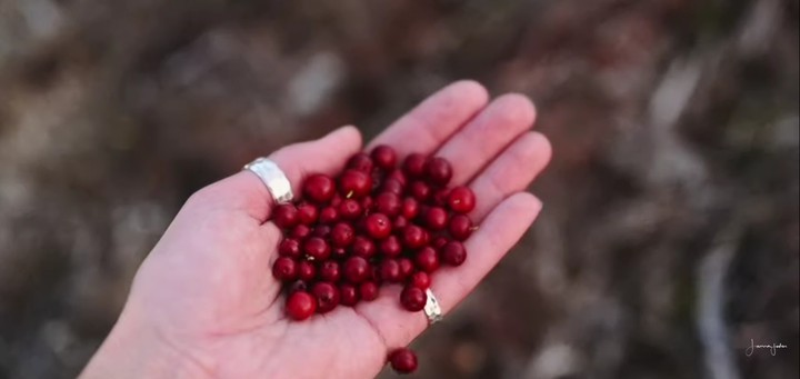 A HAND OF FRUIT