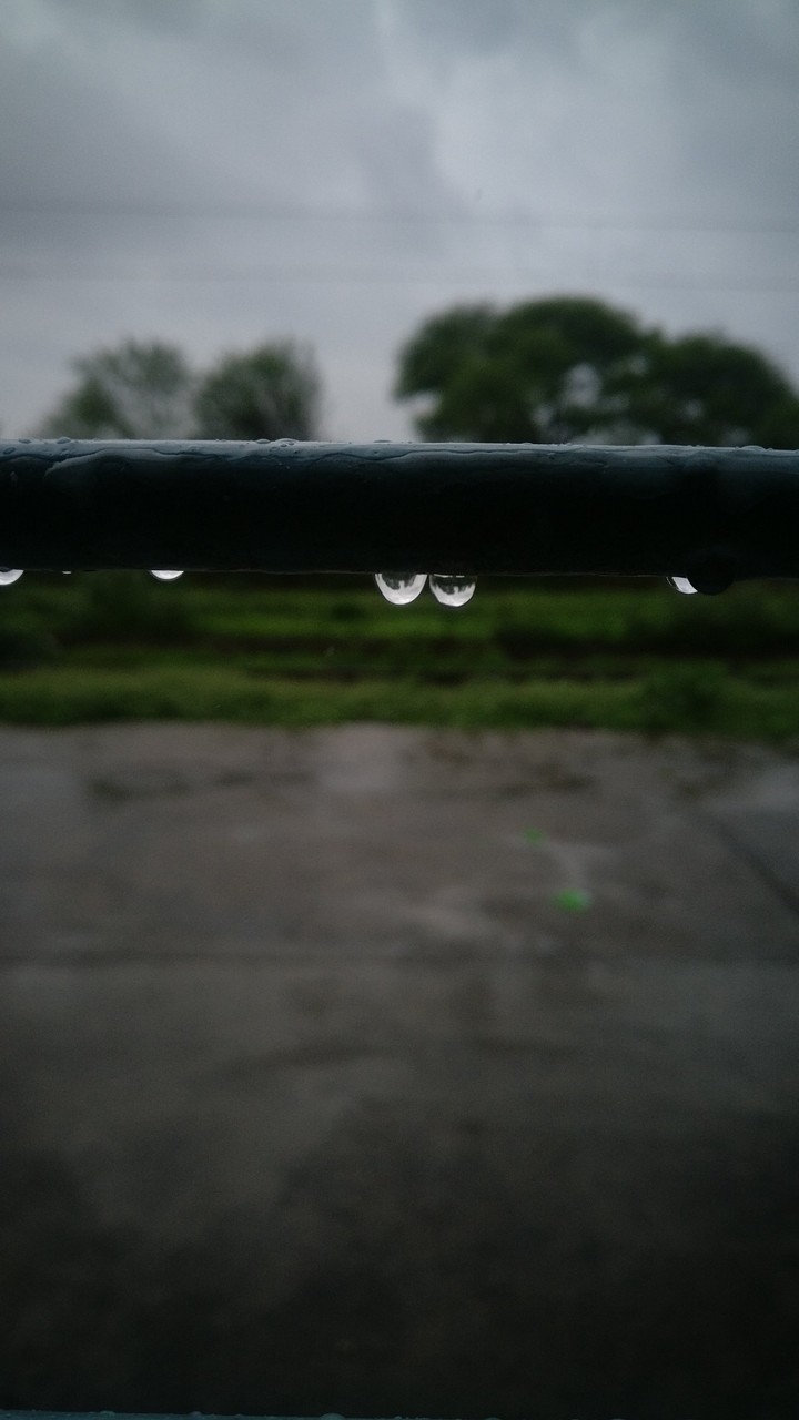 rain