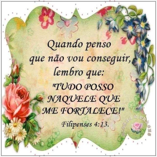 Para meus amigos queridos.