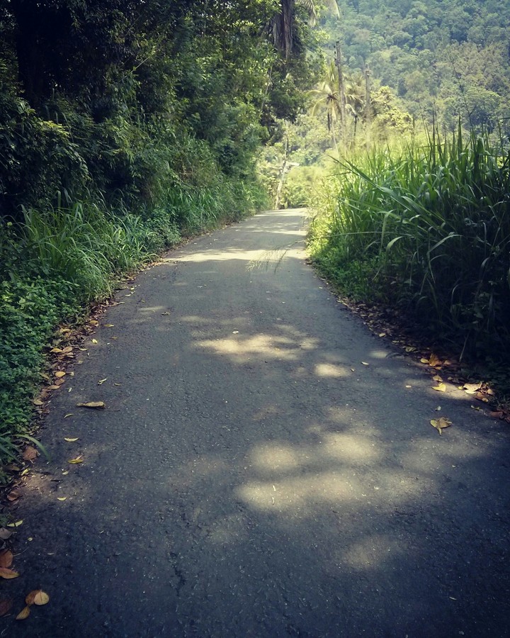 beauty of nature