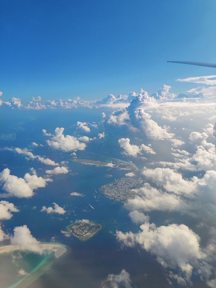 into the sky