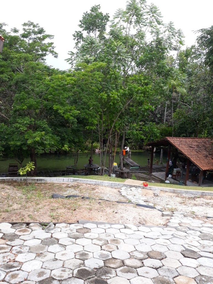 Verde do meu Pará