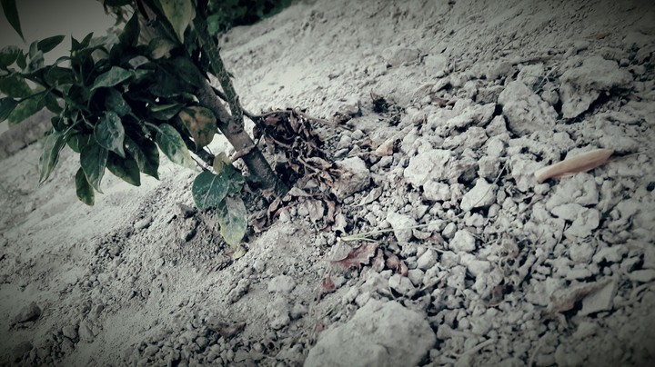 lonely movement