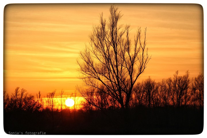 sunset