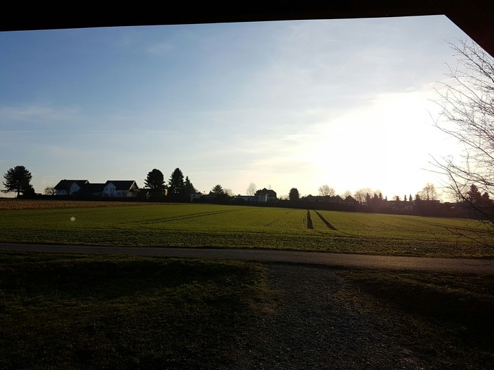 sun