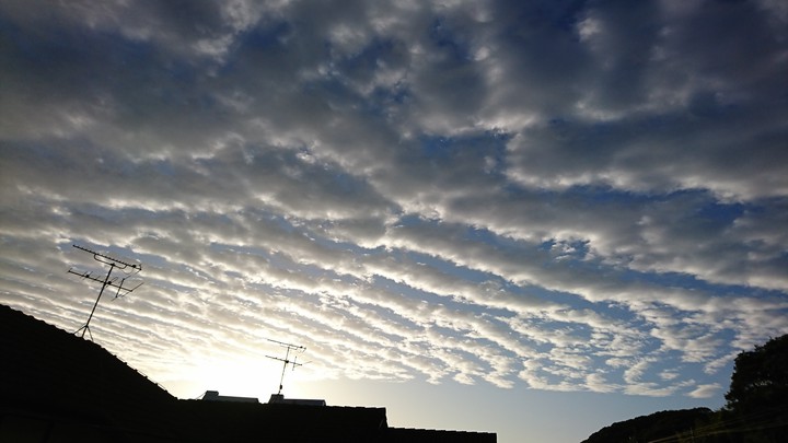 秋の空